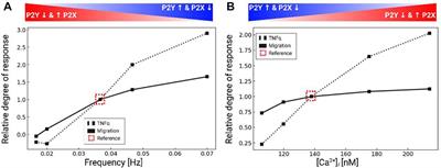 Purinoreceptors and ectonucleotidases control ATP-induced calcium waveforms and calcium-dependent responses in microglia: Roles of P2 receptors and CD39 in ATP-stimulated microglia